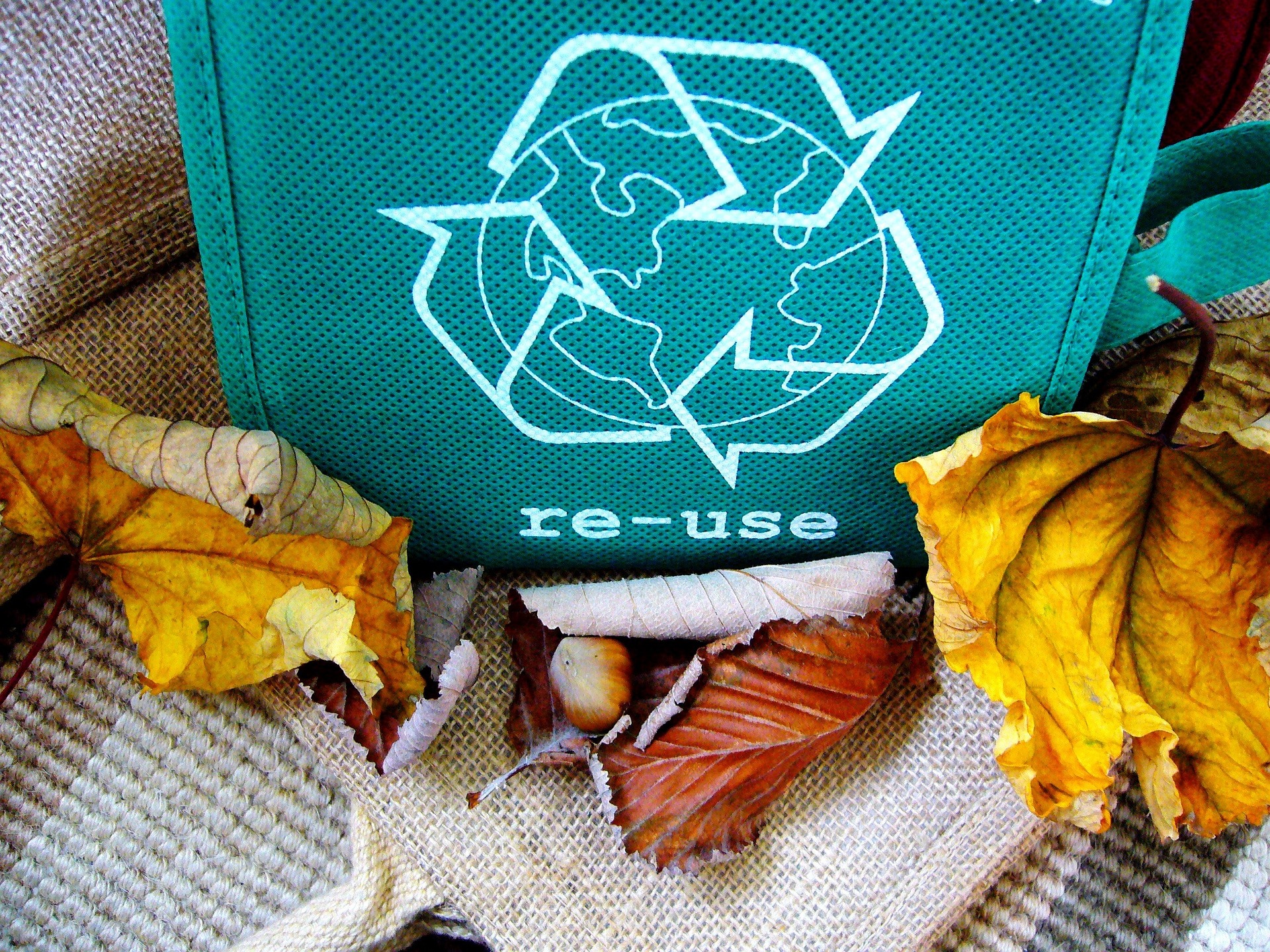 reuse recyling bin